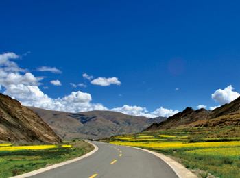 公路工程 公路工程